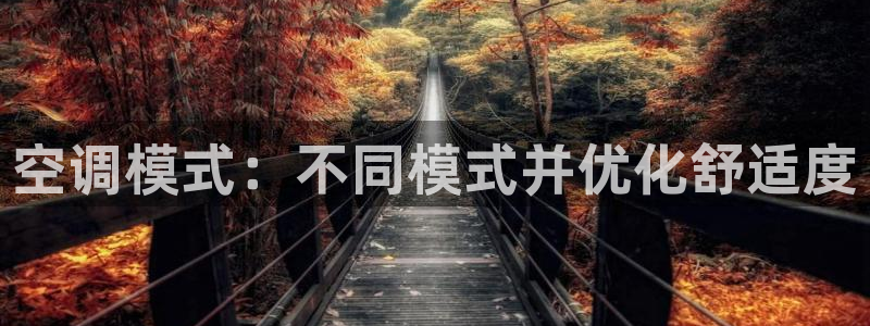 环球360官方游戏