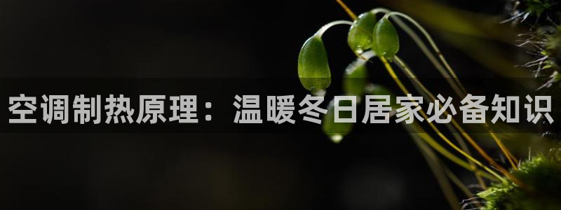 环球360官网手机版下载地址