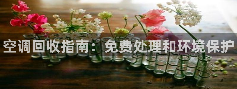 环球360假网假线包杀一比一