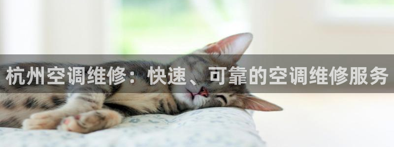 环球360游戏