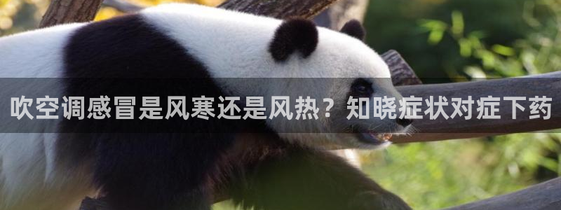 环球360会员登录官网下载