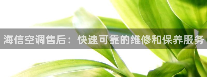 环球360飞机视频在线观看