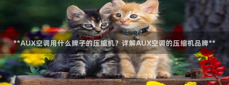 环球360官网