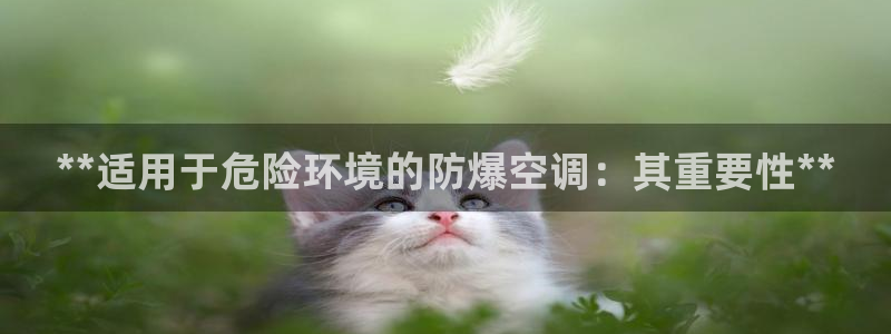 菲律宾环球360官网网站