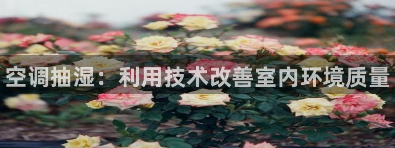 环球360苹果手机下载